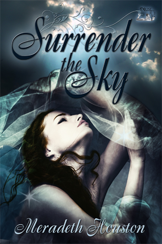 Book Cover: Surrender the Sky