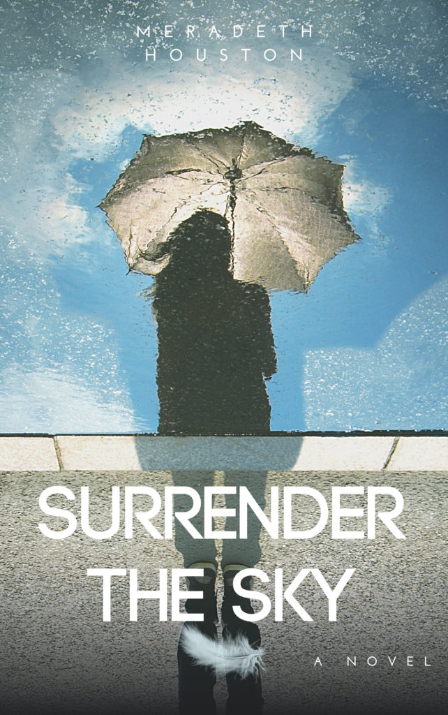 Book Cover: Surrender the Sky